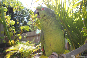 This is Avatar. She is fat.