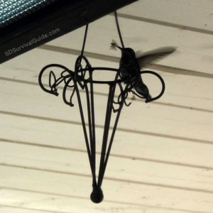 Apparently it's spring because this hummingbird is building a nest on my back patio.