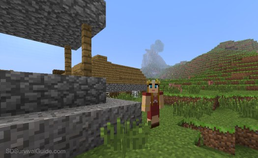 minecraft-custom-skin-princess-village-pigs