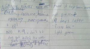 Edson dorantes notes