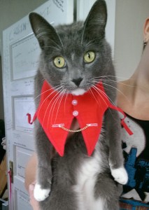 There are a lot of words in this post, so I will break them up with pictures of cats.